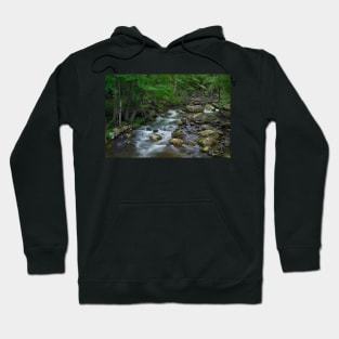 Little Stony Creek Flowing Through Jefferson National Forest Hoodie